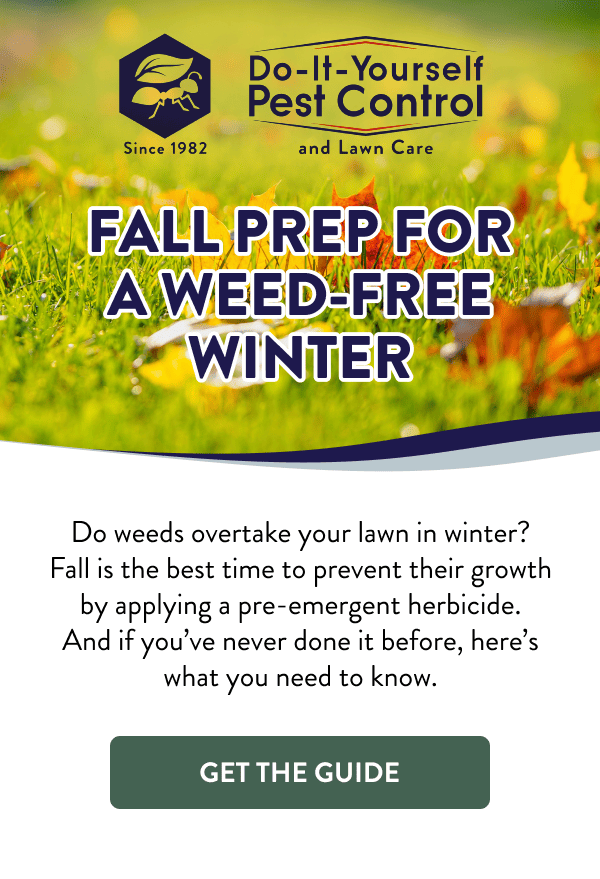 Fall Prep for a Weed-Free Winter Do weeds overtake your lawn in winter? Fall is the best time to prevent their growth by applying a pre-emergent herbicide. And if you’ve never done it before, here’s what you need to know. [GET THE GUIDE]