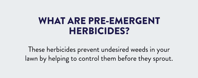 What are pre-emergent herbicides?  These herbicides prevent undesired weeds in your lawn by helping to control them before they sprout.