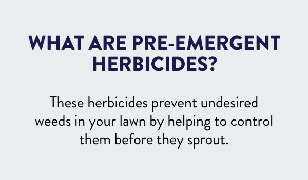 What are pre-emergent herbicides? These herbicides prevent undesired weeds in your lawn by helping to control them before they sprout.
