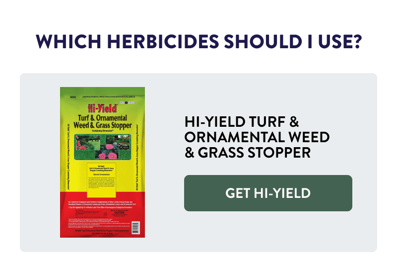 Which herbicide should I use?  Hi-Yield Turf & Ornamental Weed & Grass Stopper  [GET HI-YIELD]