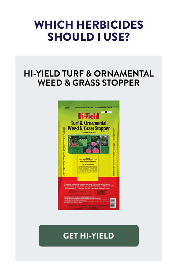 Which herbicide should I use? Hi-Yield Turf & Ornamental Weed & Grass Stopper [GET HI-YIELD]