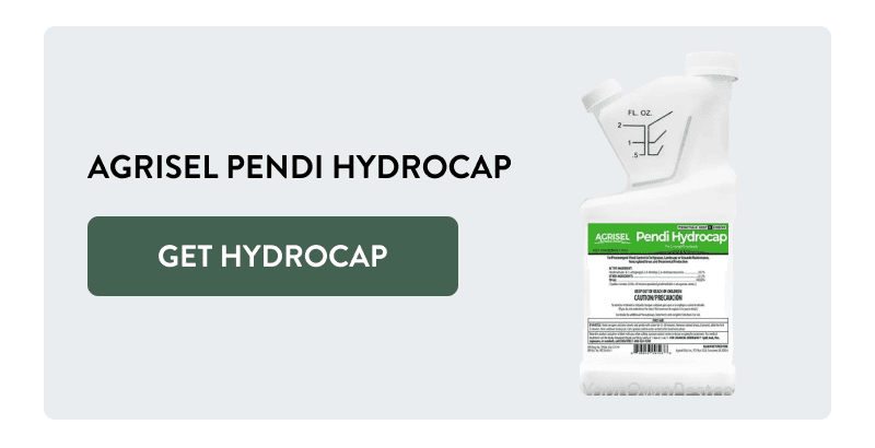 Agrisel Pendi Hydrocap  [GET HYDROCAP]