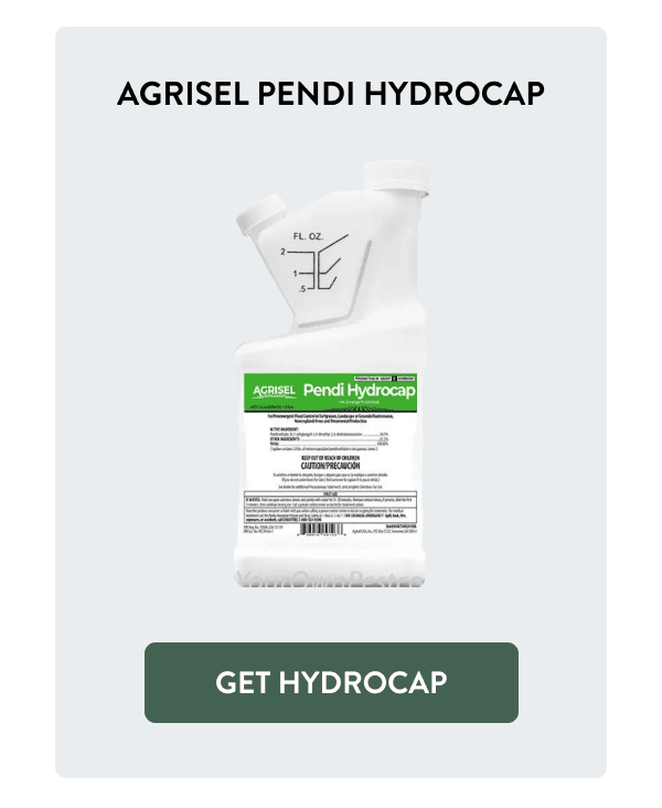 Agrisel Pendi Hydrocap [GET HYDROCAP]