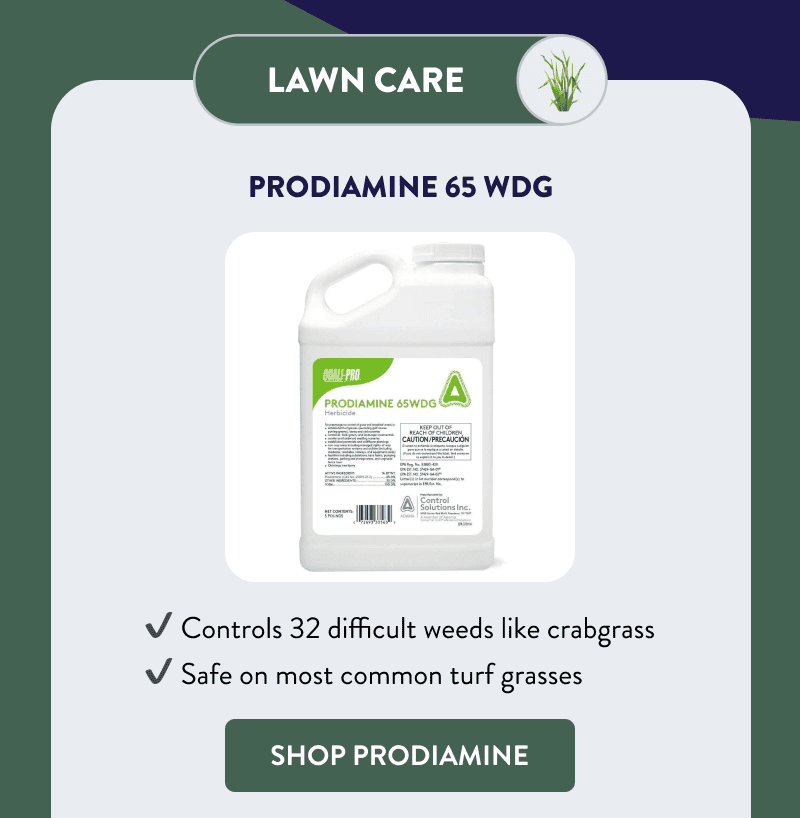 Lawn Care  Prodiamine 65 WDG  - Controls 32 difficult weeds like crabgrass - Safe on most common turf grasses  [SHOP PRODIAMINE]