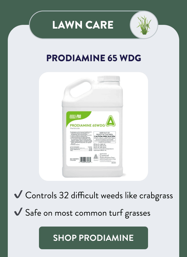 Lawn Care Prodiamine 65 WDG - Controls 32 difficult weeds like crabgrass - Safe on most common turf grasses [SHOP PRODIAMINE]