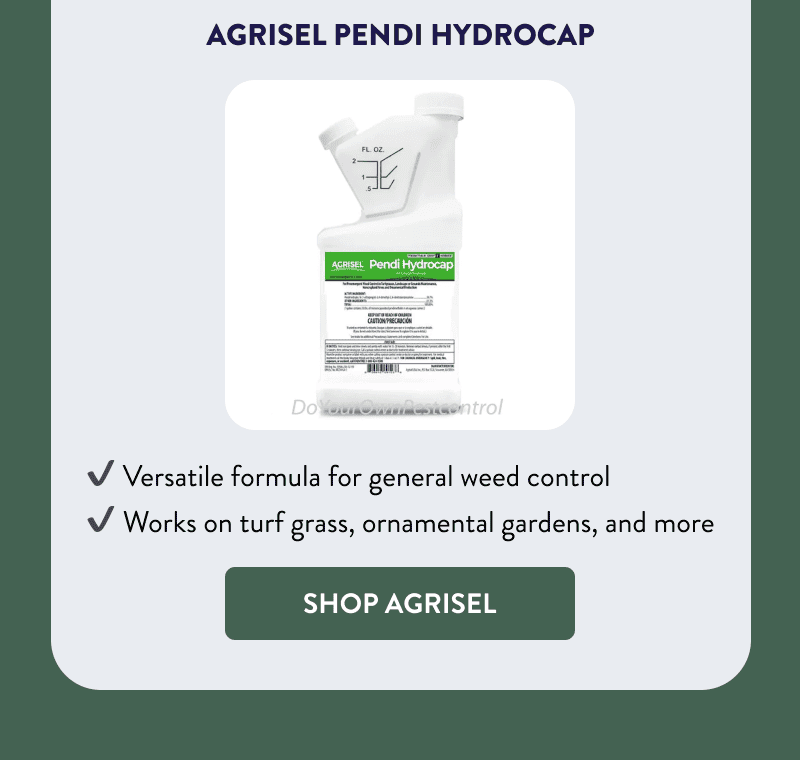 Agrisel Pendi Hydrocap  - Versatile formula for general weed control  - Works on turf grass, ornamental gardens, and more  [SHOP AGRISEL]