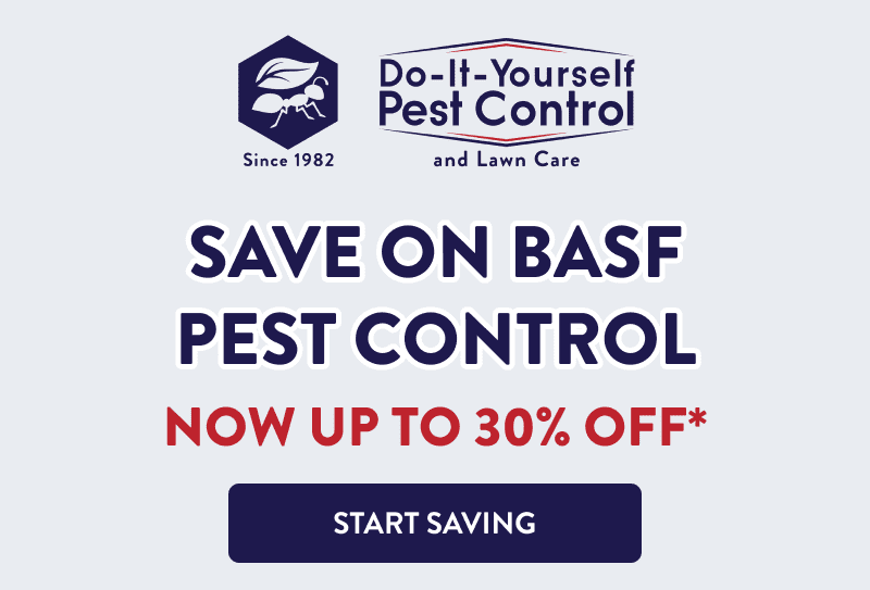 Save on BASF Pest Control  Now Up to 30% Off*  [START SAVING]