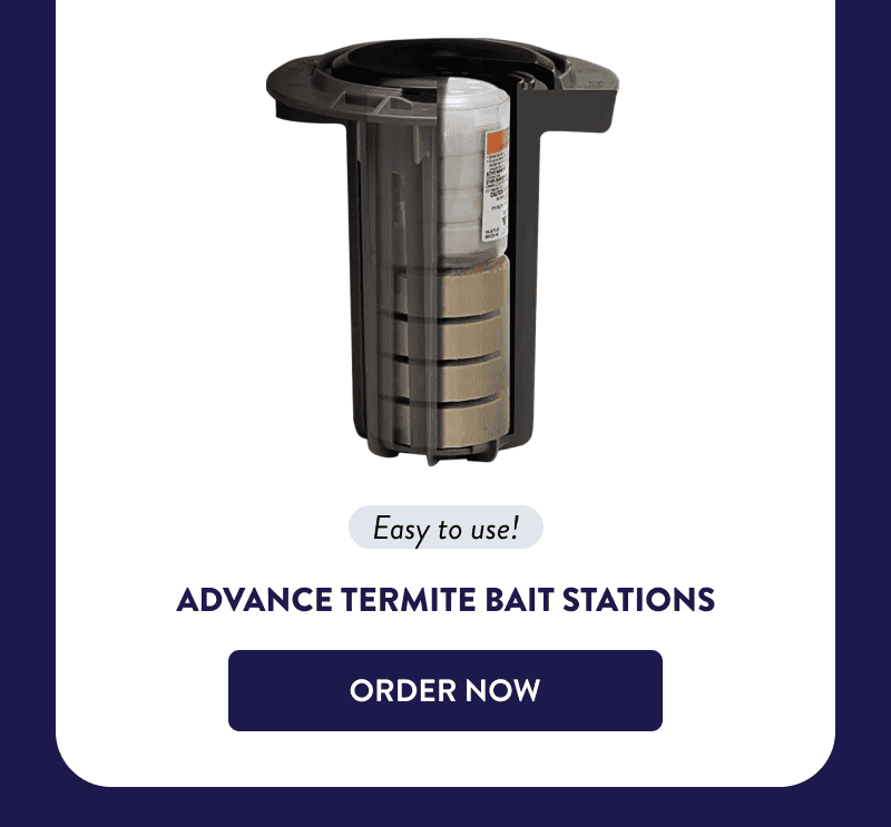 Easy to use!  Advance Termite Bait Stations  [ORDER NOW]