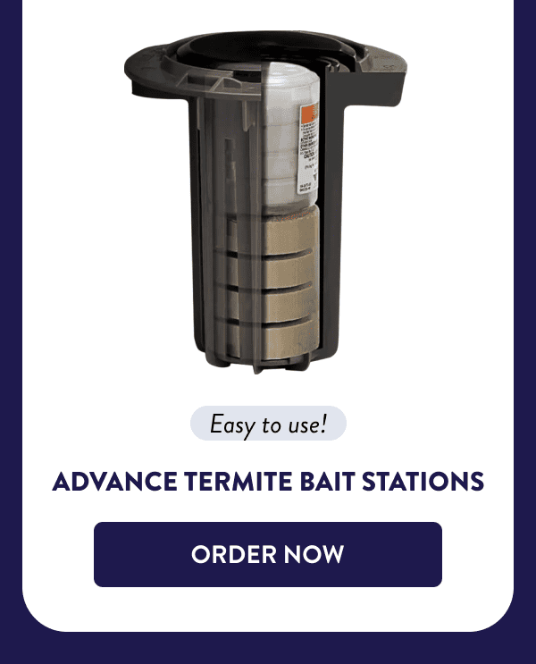 Easy to use! Advance Termite Bait Stations [ORDER NOW]
