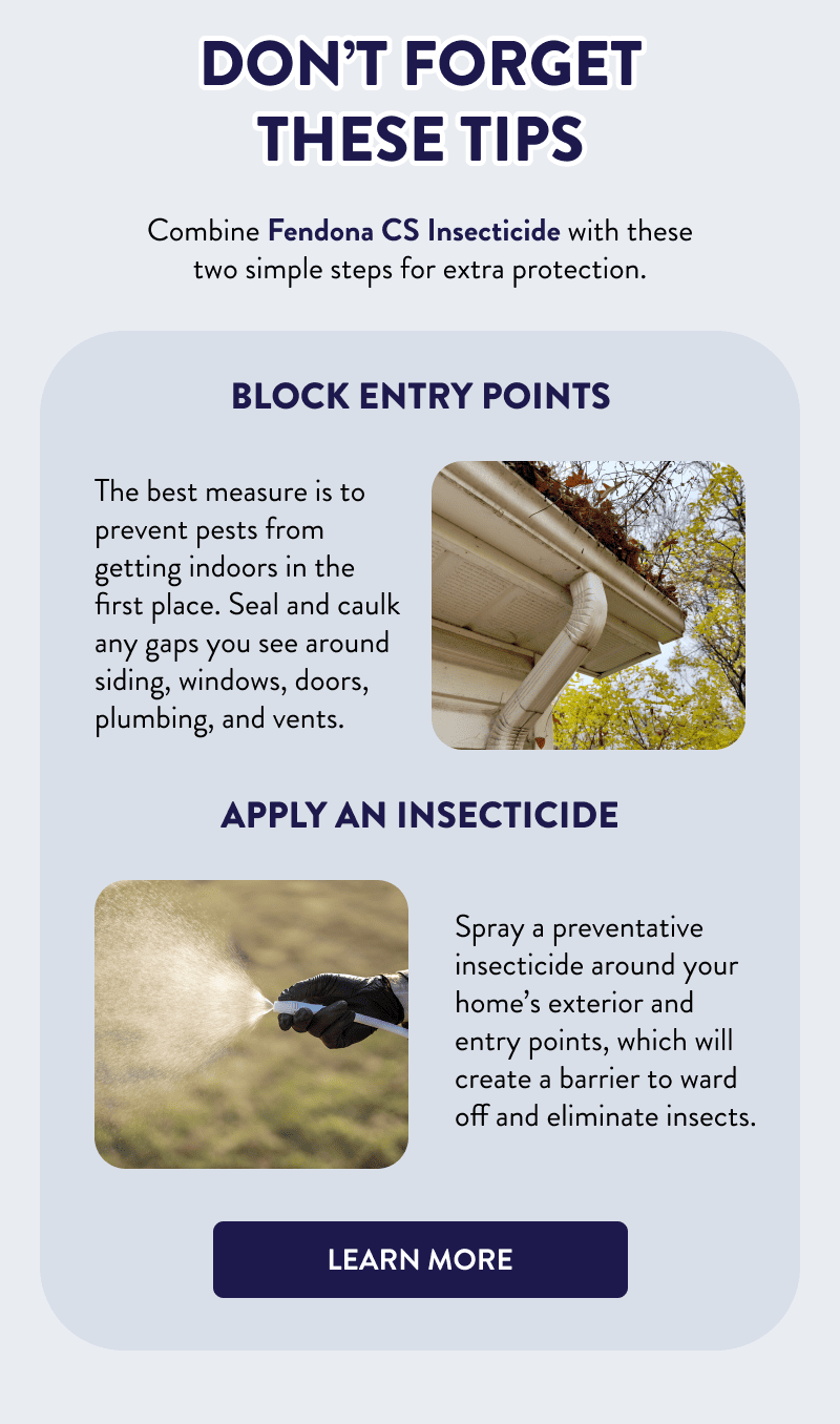 Don’t Forget These Tips  Combine Fendona CS Insecticide with these two simple steps for extra protection.  Block Entry Points  The best measure is to prevent pests from getting indoors in the first place. Seal and caulk any gaps you see around siding, windows, doors, plumbing, and vents.  Apply an Insecticide  Spray a preventative insecticide around your home’s exterior and entry points, which will create a barrier to ward off and eliminate insects.  [LEARN MORE]