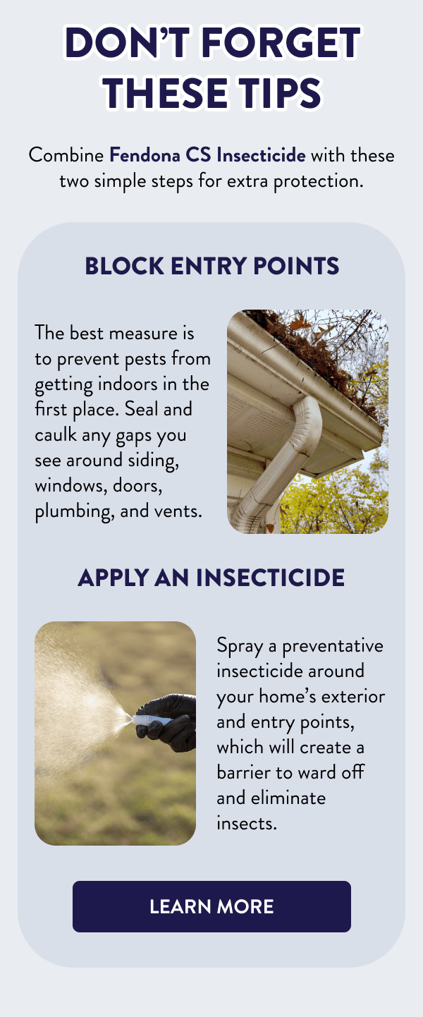 Don’t Forget These Tips Combine Fendona CS Insecticide with these two simple steps for extra protection. Block Entry Points The best measure is to prevent pests from getting indoors in the first place. Seal and caulk any gaps you see around siding, windows, doors, plumbing, and vents. Apply an Insecticide Spray a preventative insecticide around your home’s exterior and entry points, which will create a barrier to ward off and eliminate insects. [LEARN MORE]