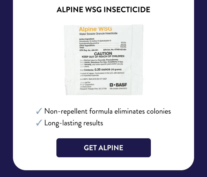 Alpine WSG Insecticide  ✔ Non-repellent formula eliminates colonies  ✔ Long-lasting results  [GET ALPINE]