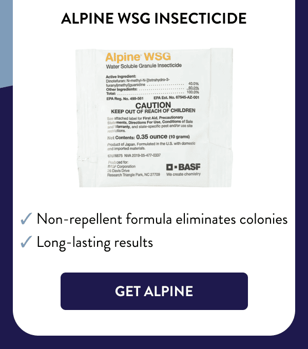 Alpine WSG Insecticide ✔ Non-repellent formula eliminates colonies ✔ Long-lasting results [GET ALPINE]