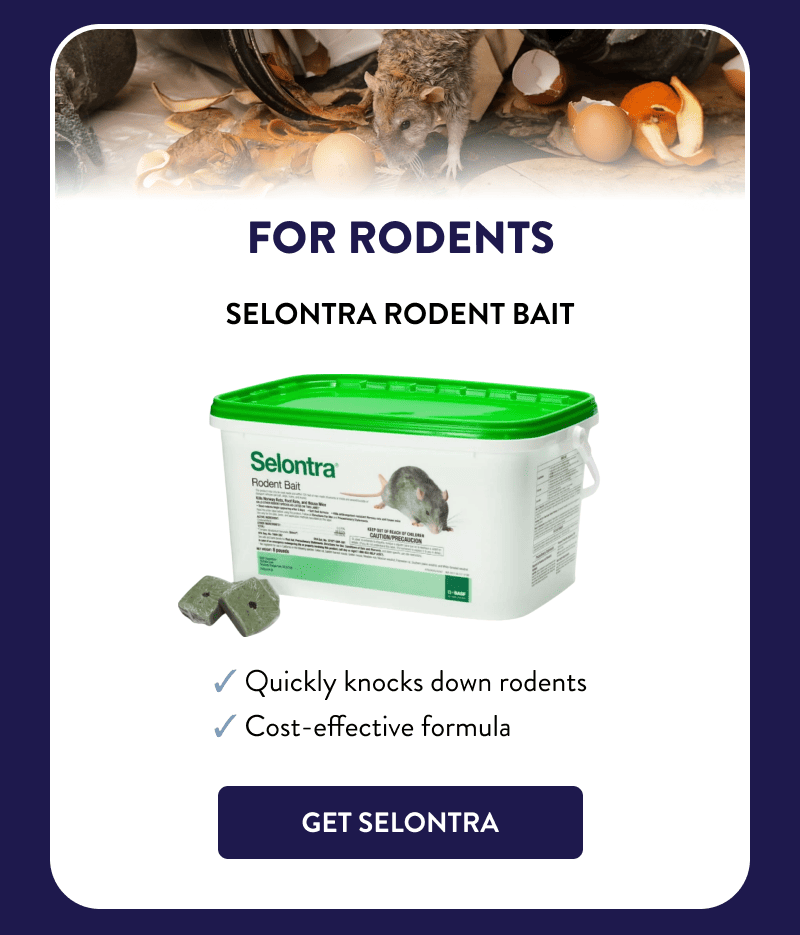 For Rodents  Selontra Rodent Bait  ✔ Quickly knocks down rodents ✔ Cost-effective formula  [GET SELONTRA]
