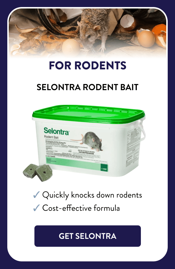 For Rodents Selontra Rodent Bait ✔ Quickly knocks down rodents ✔ Cost-effective formula [GET SELONTRA]