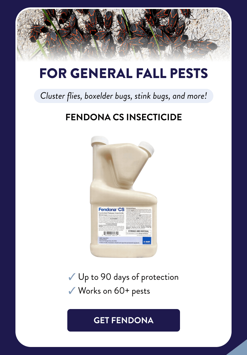 For General Fall Pests  Cluster flies, boxelder bugs, stink bugs, and more!  Fendona CS Insecticide  ✔ Up to 90 days of protection ✔ Works on 60+ pests  [GET FENDONA]