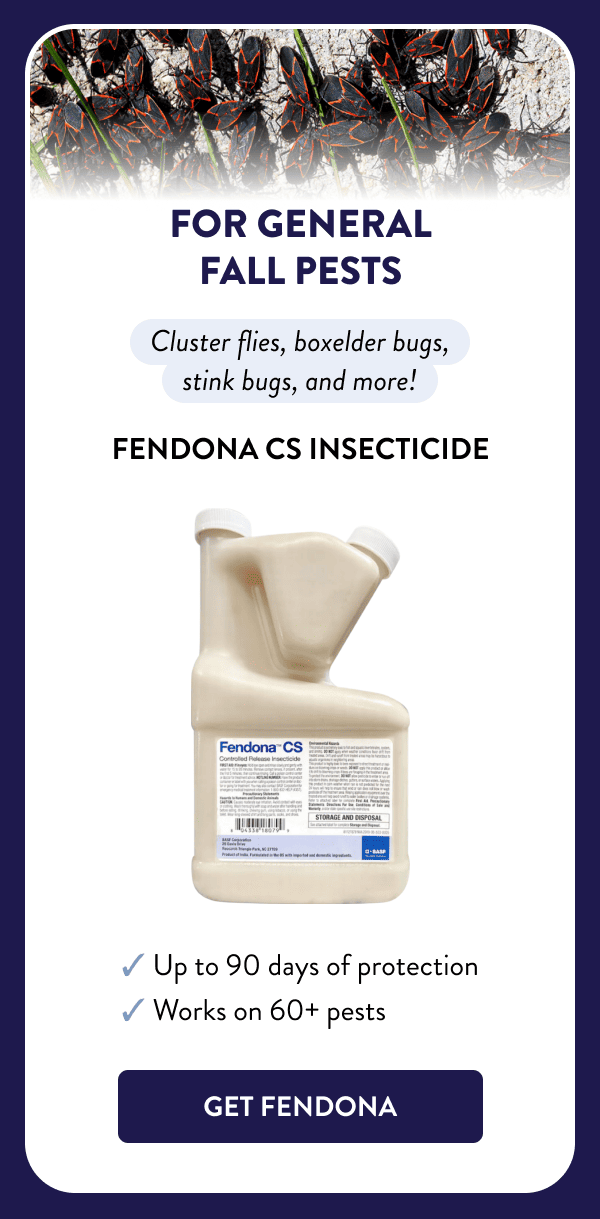 For General Fall Pests Cluster flies, boxelder bugs, stink bugs, and more! Fendona CS Insecticide ✔ Up to 90 days of protection ✔ Works on 60+ pests [GET FENDONA]
