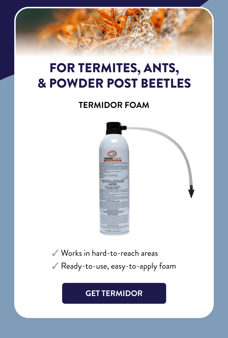 For Termites, Ants, & Powder Post Beetles  Termidor Foam  ✔ Works in hard-to-reach areas ✔ Ready-to-use, easy-to-apply foam  [GET TERMIDOR]
