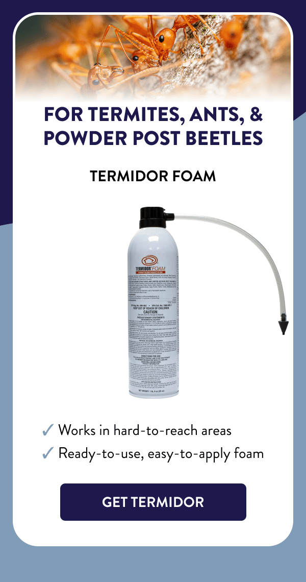 For Termites, Ants, & Powder Post Beetles Termidor Foam ✔ Works in hard-to-reach areas ✔ Ready-to-use, easy-to-apply foam [GET TERMIDOR]