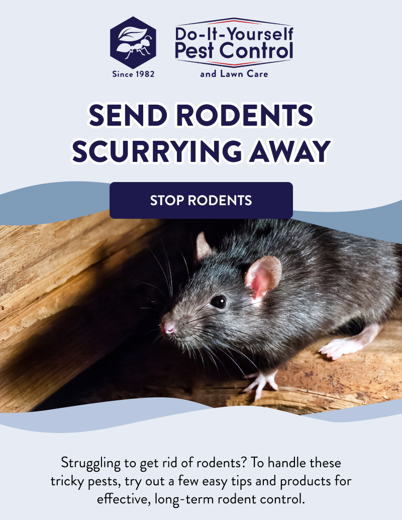 Send Rodents Scurrying Away  [STOP RODENTS]  Struggling to get rid of rodents? To handle these tricky pests, try out a few easy tips and products for effective, long-term rodent control.