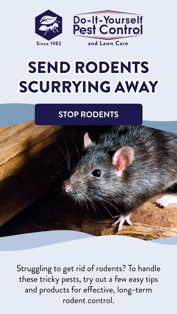 Send Rodents Scurrying Away [STOP RODENTS] Struggling to get rid of rodents? To handle these tricky pests, try out a few easy tips and products for effective, long-term rodent control.