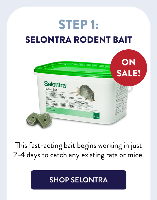 Step 1: Selontra Rodent Bait ON SALE! This fast-acting bait begins working in just 2-4 days to catch any existing rats or mice. [SHOP SELONTRA]