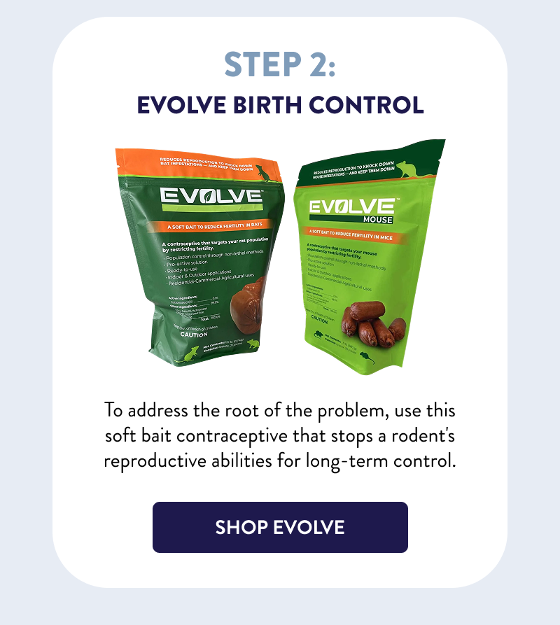 Step 2: Evolve Birth Control  To address the root of the problem, use this soft bait contraceptive that stops a rodent's reproductive abilities for long-term control.  [SHOP EVOLVE]