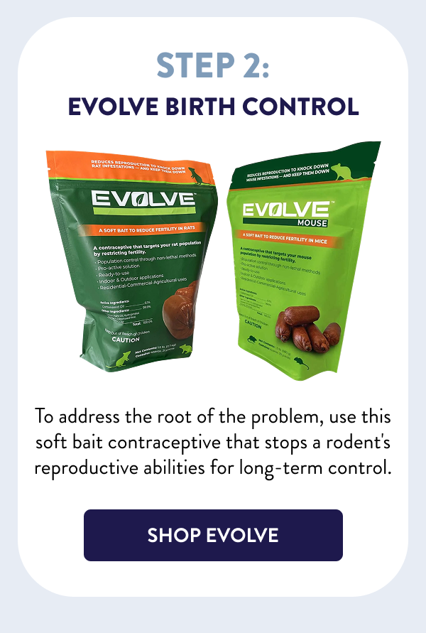 Step 2: Evolve Birth Control To address the root of the problem, use this soft bait contraceptive that stops a rodent's reproductive abilities for long-term control. [SHOP EVOLVE]