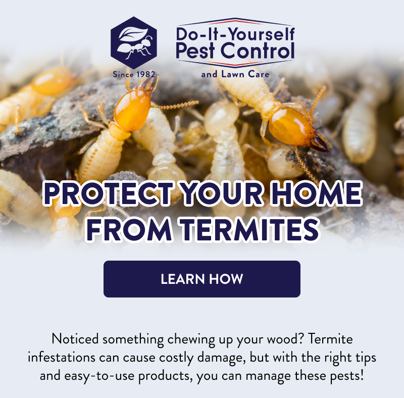 Protect Your Home from Termites  [LEARN HOW]  Noticed something chewing up your wood? Termite infestations can cause costly damage, but with the right tips and easy-to-use products, you can manage these pests!