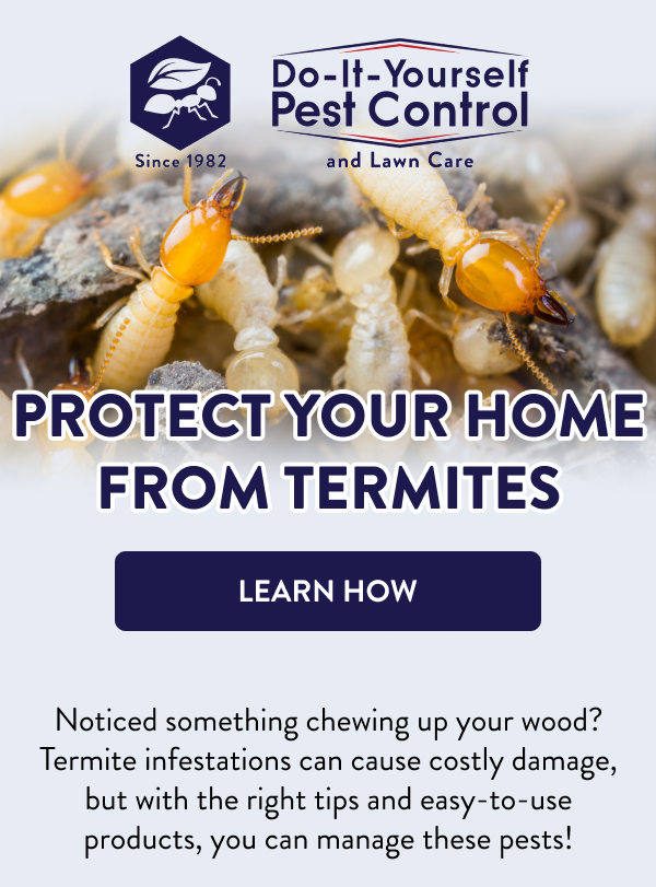 Protect Your Home from Termites [LEARN HOW] Noticed something chewing up your wood? Termite infestations can cause costly damage, but with the right tips and easy-to-use products, you can manage these pests!