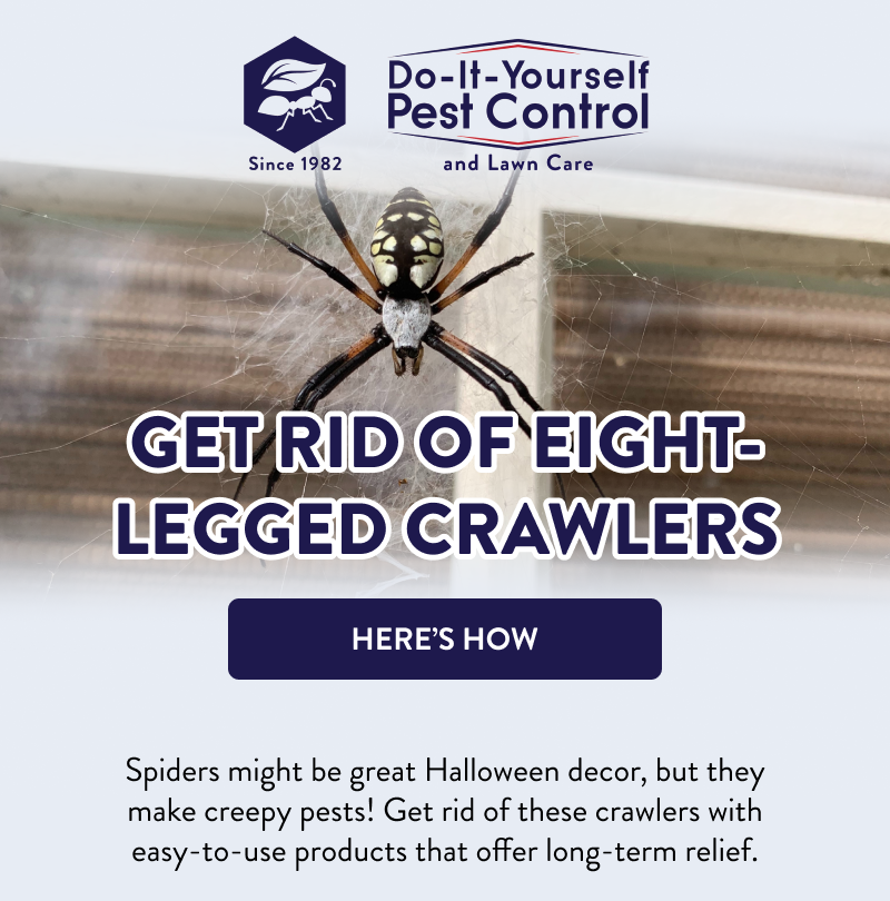 Get Rid of Eight-Legged Crawlers  [HERE’S HOW]  Spiders might be great Halloween decor, but they make creepy pests! Get rid of these crawlers with easy-to-use products that offer long-term relief.
