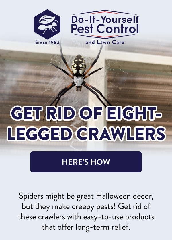 Get Rid of Eight-Legged Crawlers [HERE’S HOW] Spiders might be great Halloween decor, but they make creepy pests! Get rid of these crawlers with easy-to-use products that offer long-term relief.