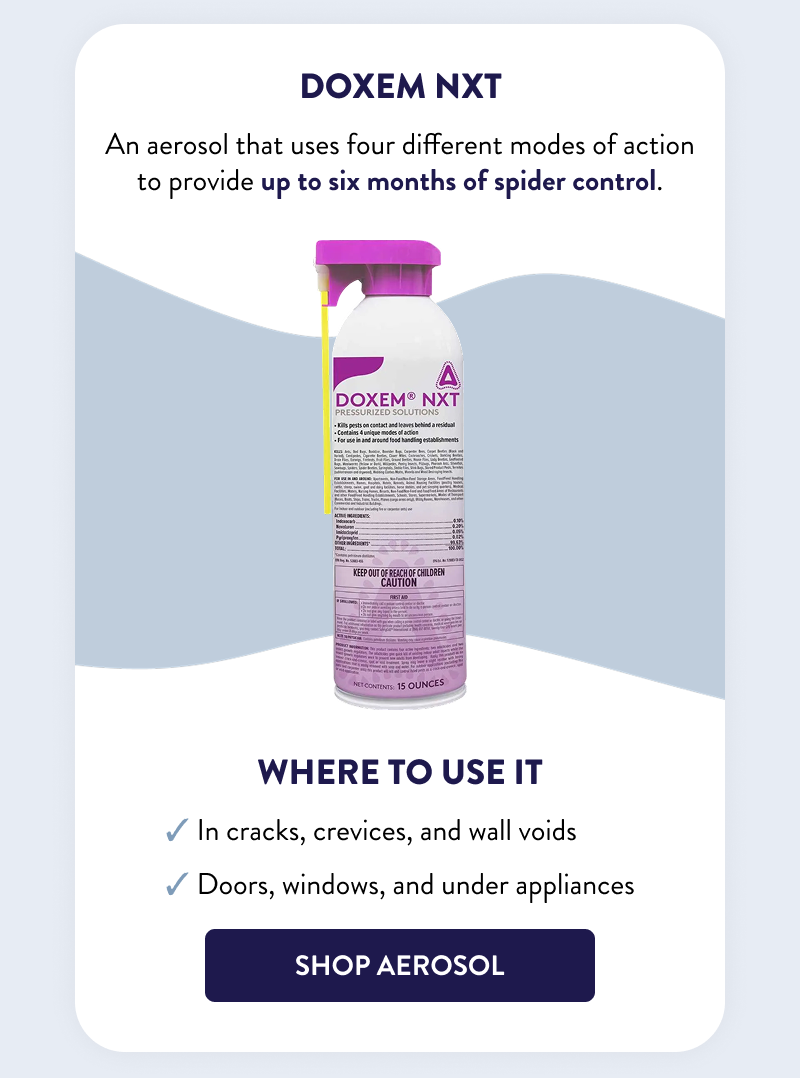 Doxem NXT  An aerosol that uses four different modes of action to provide up to six months of spider control.  Where to Use it  - In cracks, crevices, and wall voids - Doors, windows, and under appliances  [SHOP AEROSOL]