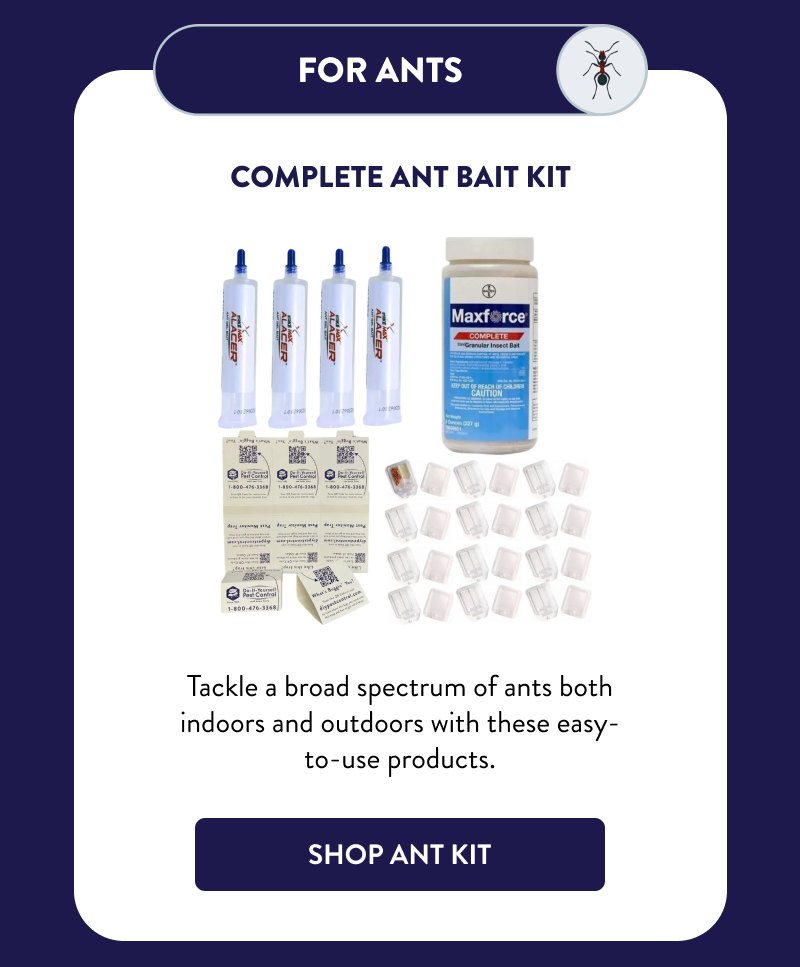 For Ants  Complete Ant Bait Kit  Tackle a broad spectrum of ants both indoors and outdoors with these easy-to-use products.  [SHOP ANT KIT]