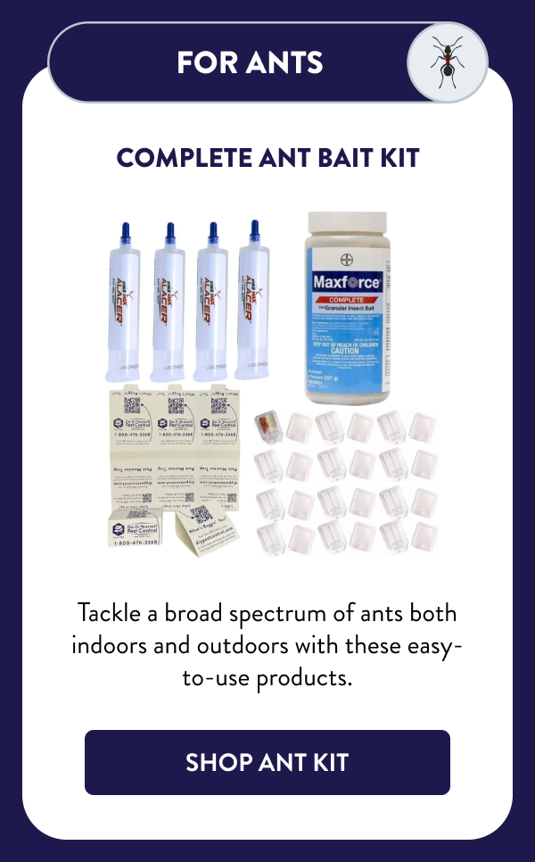 For Ants Complete Ant Bait Kit Tackle a broad spectrum of ants both indoors and outdoors with these easy-to-use products. [SHOP ANT KIT]