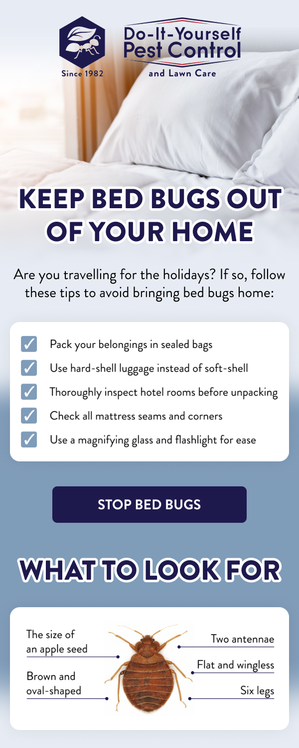 Keep Bed Bugs Out of Your Home Are you travelling for the holidays? If so, follow these tips to avoid bringing bed bugs home: ✔ Pack your belongings in sealed bags ✔ Use hard-shell luggage instead of soft-shell ✔ Thoroughly inspect hotel rooms before unpacking ✔ Check all mattress seams and corners ✔ Use a magnifying glass and flashlight for ease [STOP BED BUGS] What to Look For - Brown and oval-shaped - The size of an apple seed - Flat and wingless - Six legs - Two antennae