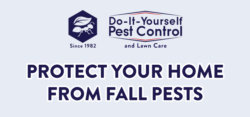 Protect Your Home from Fall Pests