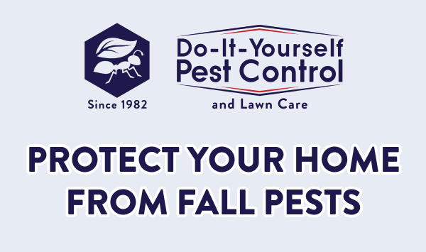 Protect Your Home from Fall Pests