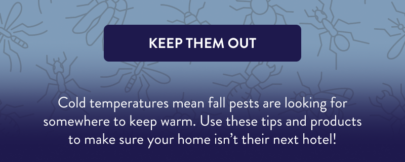 [KEEP THEM OUT]  Cold temperatures mean fall pests are looking for somewhere to keep warm. Use these tips and products to make sure your home isn’t their next hotel!