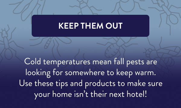 [KEEP THEM OUT] Cold temperatures mean fall pests are looking for somewhere to keep warm. Use these tips and products to make sure your home isn’t their next hotel!