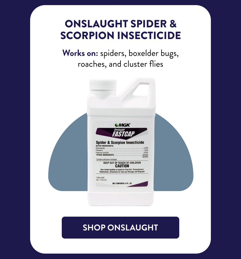 Onslaught Spider & Scorpion Insecticide  Works on: spiders, boxelder bugs, roaches, and cluster flies  [SHOP ONSLAUGHT]