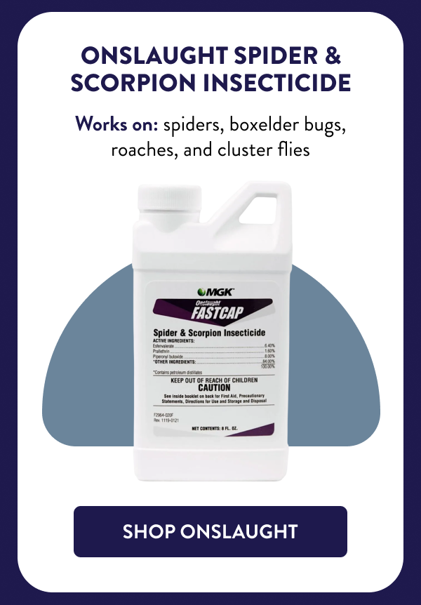 Onslaught Spider & Scorpion Insecticide Works on: spiders, boxelder bugs, roaches, and cluster flies [SHOP ONSLAUGHT]