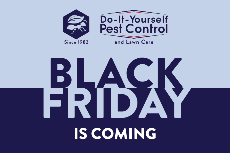 Black Friday Is Coming