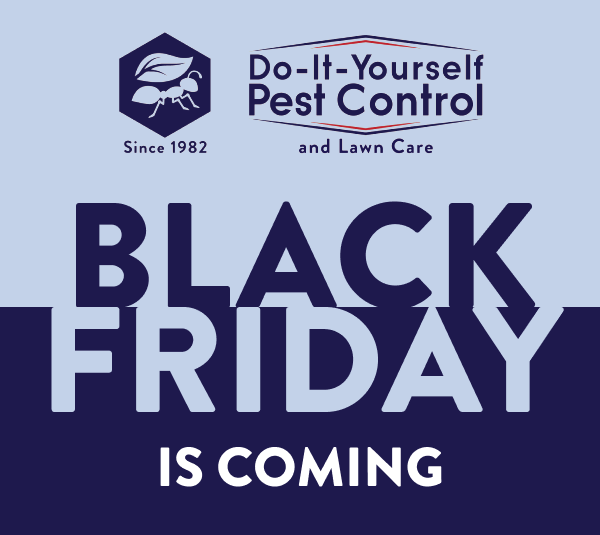 Black Friday Is Coming