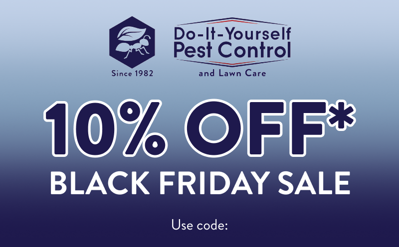 10% Off* Black Friday Sale  Use code: