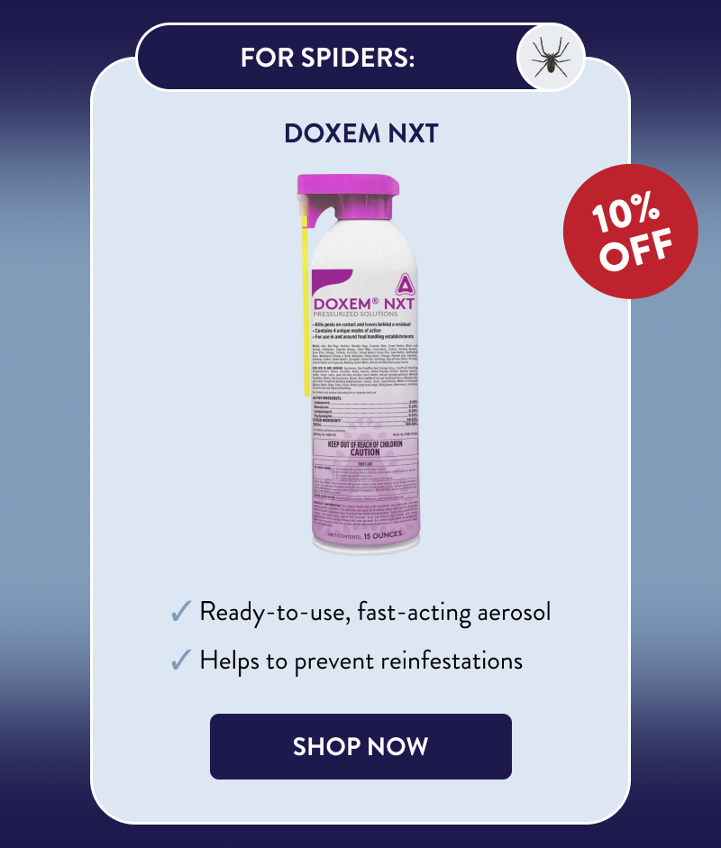 For Spiders: Doxem NXT  - Ready-to-use, fast-acting aerosol - Helps to prevent reinfestations  [SHOP NOW]