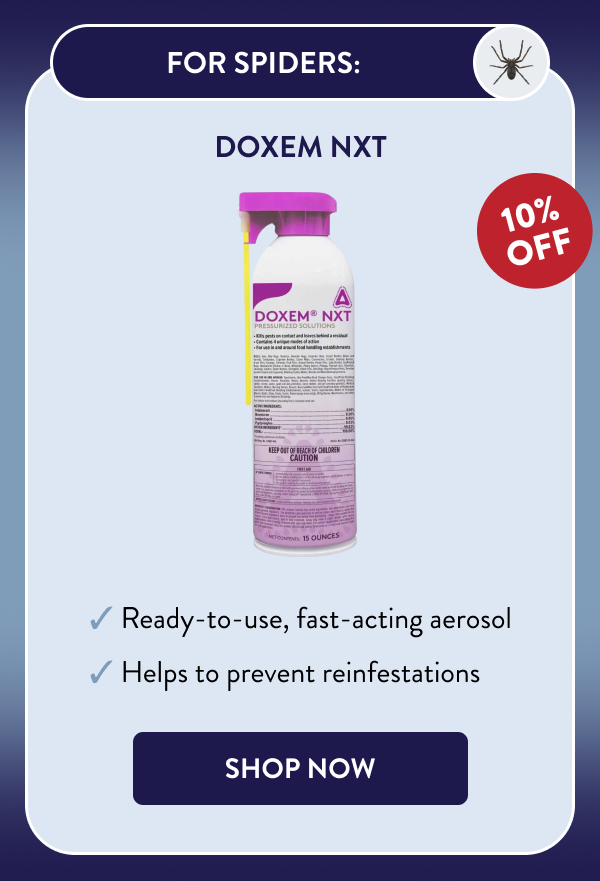 For Spiders: Doxem NXT - Ready-to-use, fast-acting aerosol - Helps to prevent reinfestations [SHOP NOW]