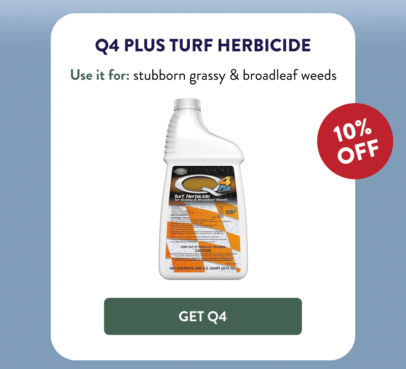 Q4 Plus Turf Herbicide  Use it for: stubborn grassy & broadleaf weeds  [GET Q4]