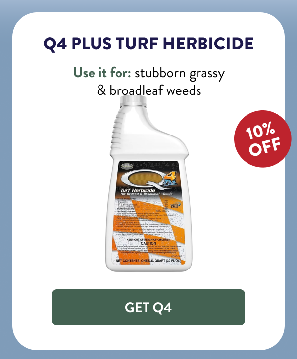Q4 Plus Turf Herbicide Use it for: stubborn grassy & broadleaf weeds [GET Q4]