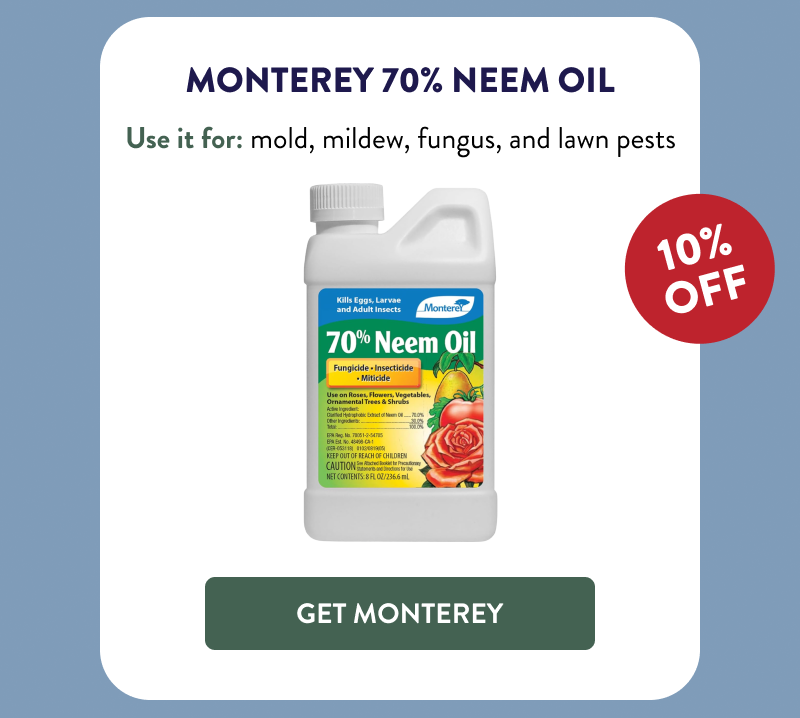 Monterey 70% Neem Oil  Use it for: mold, mildew, fungus, and lawn pests  [GET MONTEREY]